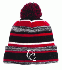 I. Dolphins Knit Cap